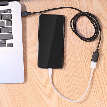 Rallonge USB 2 mètres pour tablette Ludipad